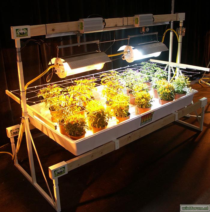 hydroponic_grow_stand_water_cooled_1000_watt_grow_lights.jpg