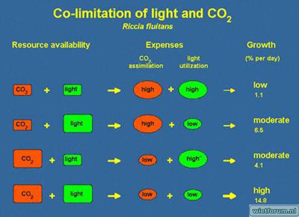 CO limitation of light and CO2