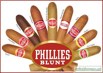 PhilliesBluntRbow.jpg