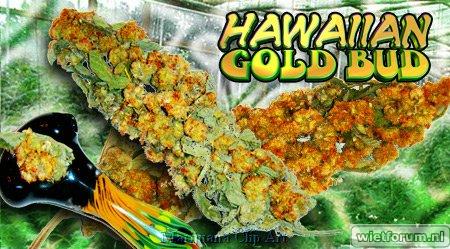  funny weed canabis marijuana spliff drugs joint ganja skunk