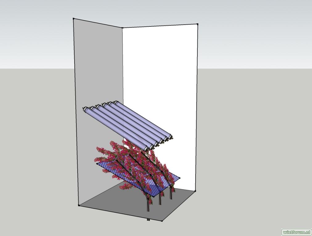 Diagonal ScrOG