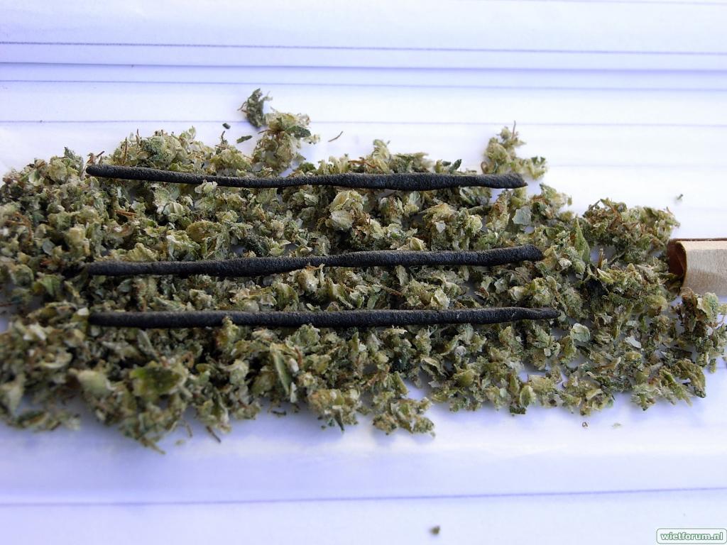 NepalJoint