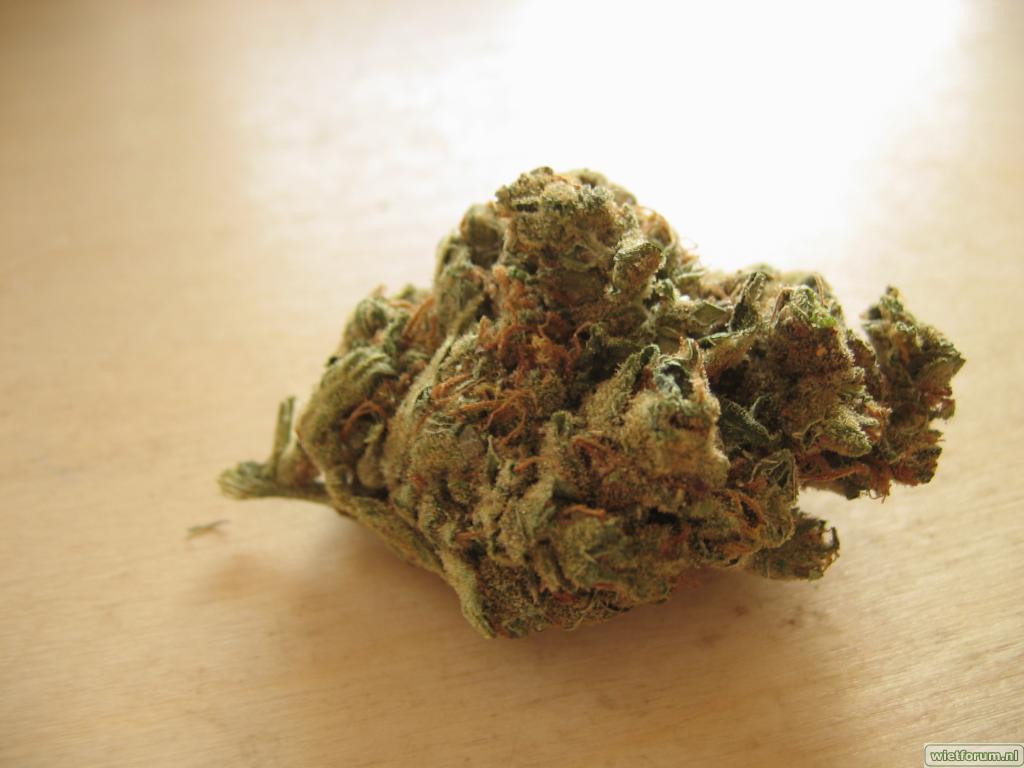 Rookverslag Silver Haze Kfk -4-.jpg