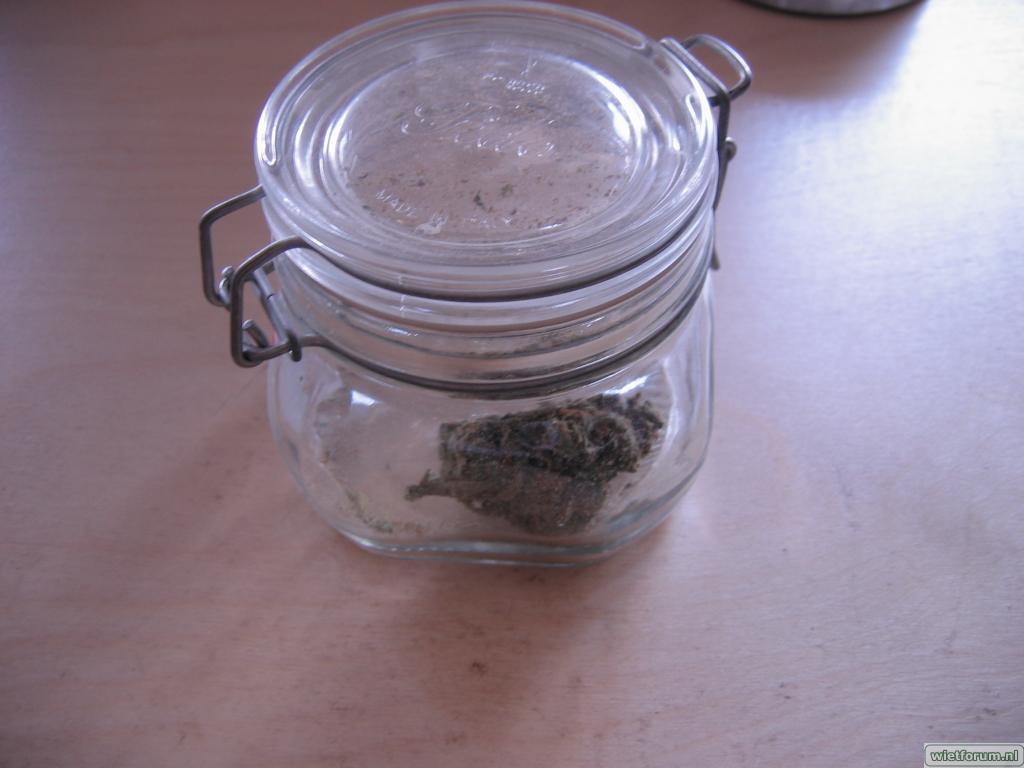 Rookverslag Silver Haze Kfk -1-.jpg