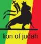 lionofjudah