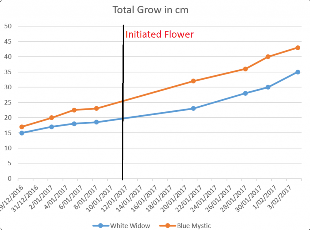 grow in cm (pas na 1 in veg beginnen te meten)