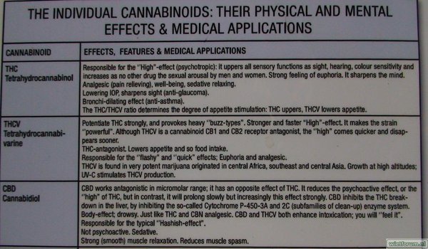 cannabinoid profielen