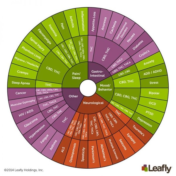 cannabinoids 1024x1024