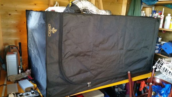 chilipeper tent