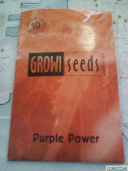 Growi Seeds Amsterdam.JPG