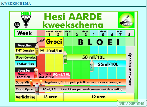 hesi schema aarde