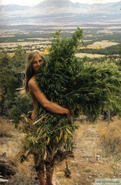 hippie meisje guerilla