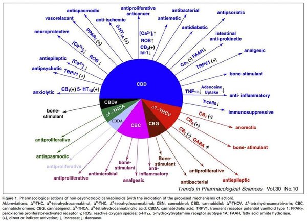 cannabinoids