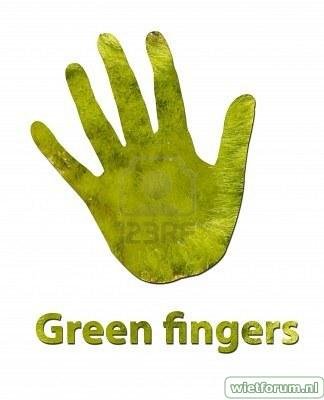 6481336-a-handprint-made-up-of-green-leaves-to-symbolize-gre