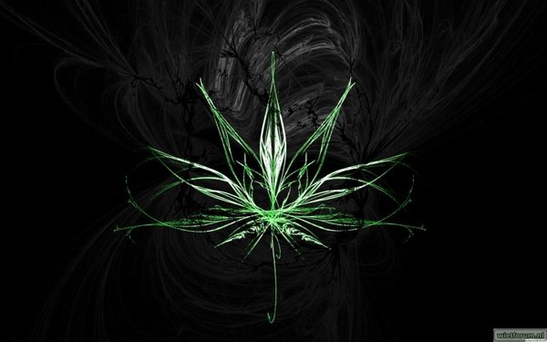 66261-sketched-weed.jpg