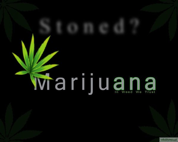 DesktopWallpaperFactory_Weed_16.jpg