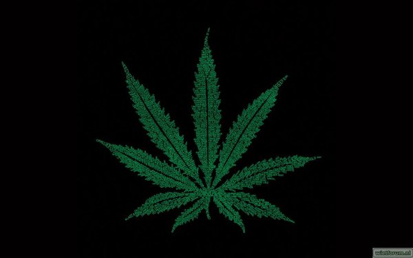 Marijuana-Leaf-30536.jpeg