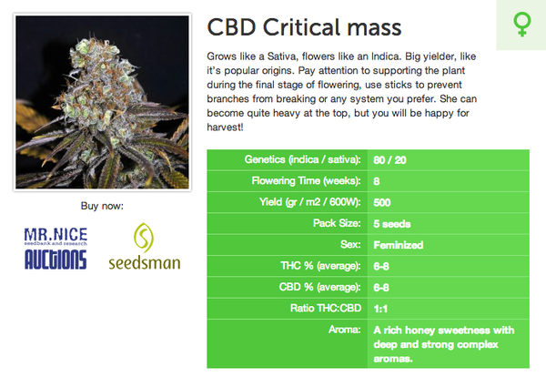 CBD-Crew Critical Mass 2014 *1