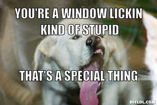window lickin kinda stupid meme generator You Re A window lickin kind Of stupid that S A special thing 99c89c