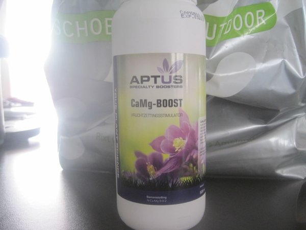 Aptus ca mg boost