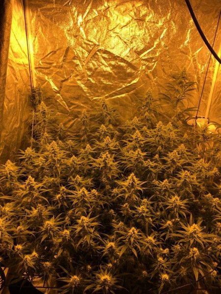 week5 D7 amnesia05