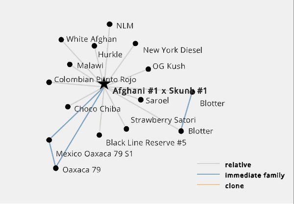 Genotype Results   Afghani#1xSkunk#1
