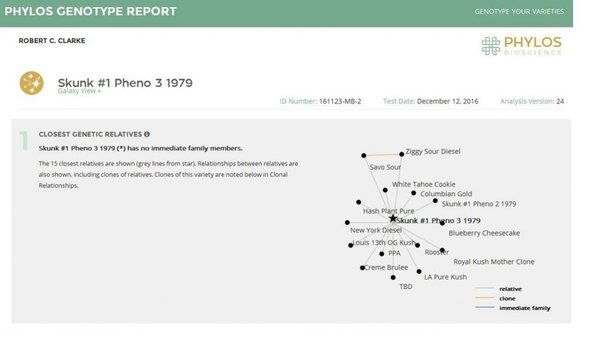 Genotype Results  Skunk#1 1979 pheno3