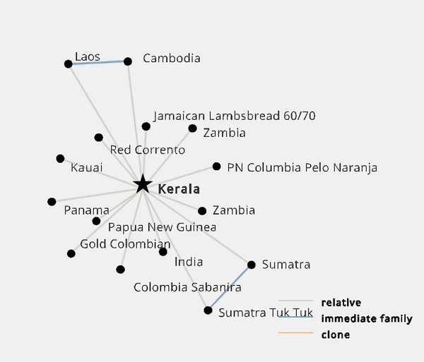 Genotype Results   Kerala