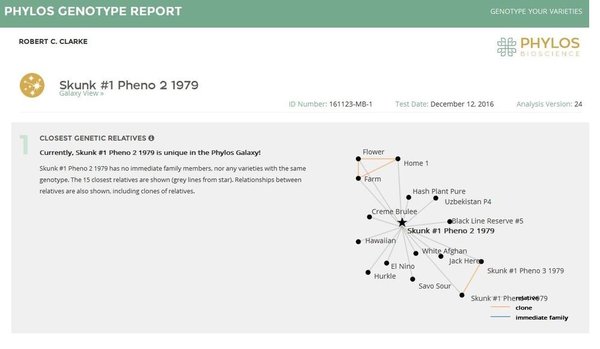 Genotype Results  Skunk#1 1979 pheno2
