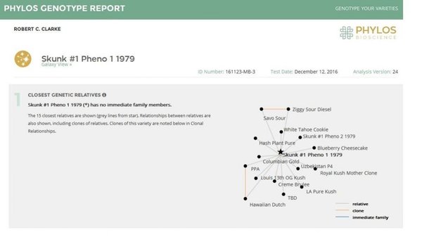 Genotype Results  Skunk#1 1979 pheno1