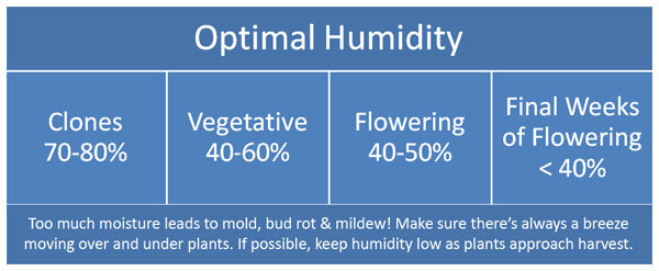 cannabis humidity chart
