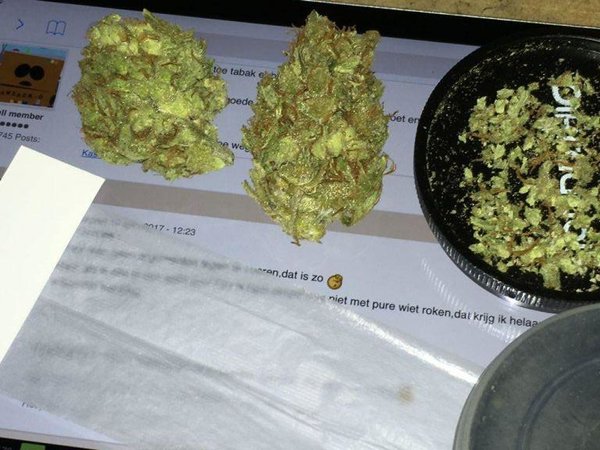 Weed pics