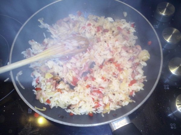 gebakken rijst Met kiemgroente In wrap2