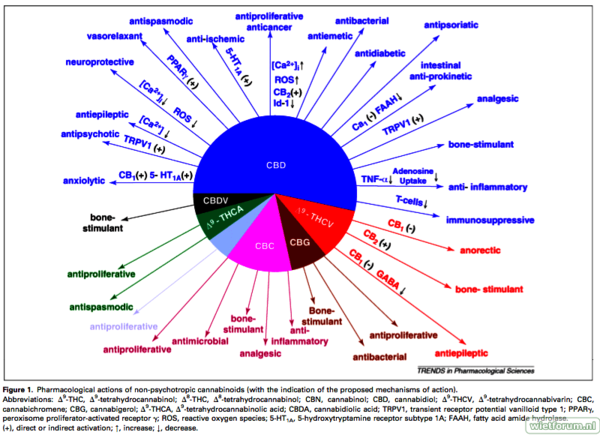 cannabinoids-pie-chart2.png