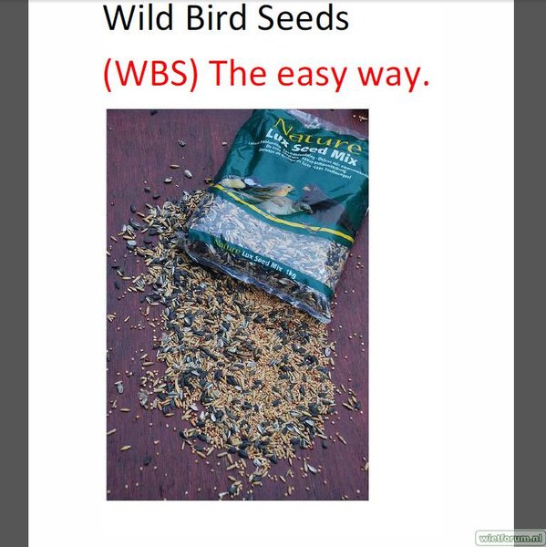 wildbirdvoorboekcover.jpg