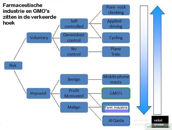 Risk Experience Diagram