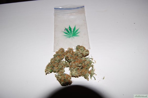 Superbud