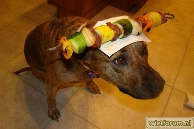 kebab hond.jpg