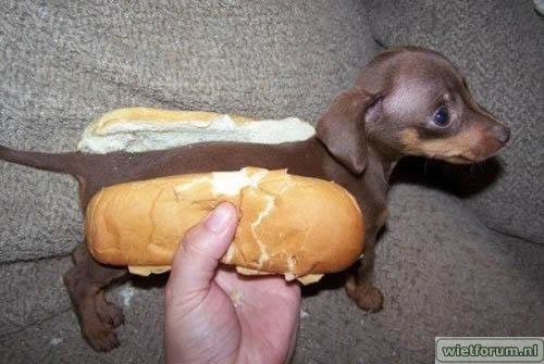 22-real-hot-dog.jpg