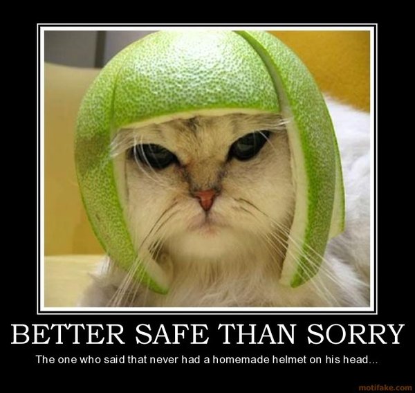 better safe than sorry better safe than sorry Cat helmet