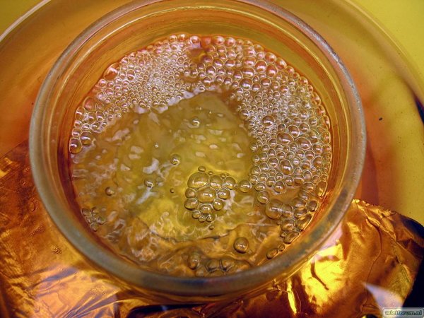 AS Grow BHO -29-.jpg