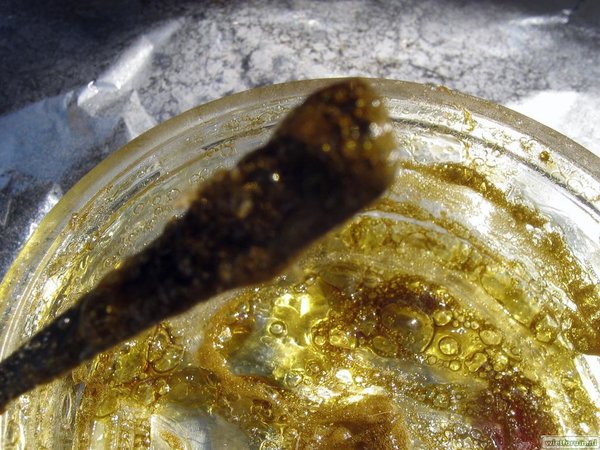 AS Grow BHO -40-.jpg