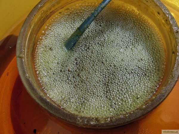 AS Grow BHO -41-.jpg