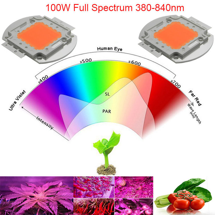 100w-led-grow-light-full-spectrum-integrated-grow-led-chip-cover-380nm-840nm-best-for-hydroponics.jpg