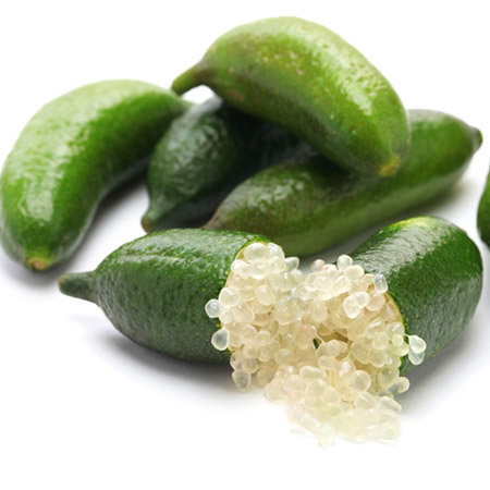 Finger-Lime-Tree-450w-.jpg.ecbcb65334873962f600069624ee3258.jpg