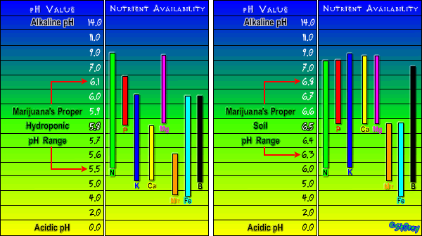 Nutrient_Chart2.gif.4c2bd973f07c3c06716c198abadafbdf.gif