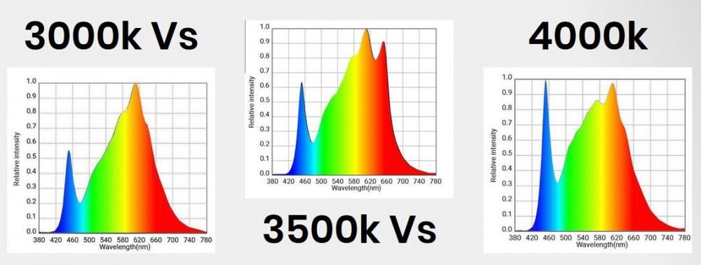 3000k-vs-3500k-vs-4000k-light-spectrum-for-cannabis-growth.thumb.jpg.a89fca65b1ba9360ea25d52b7a33ac33.jpg