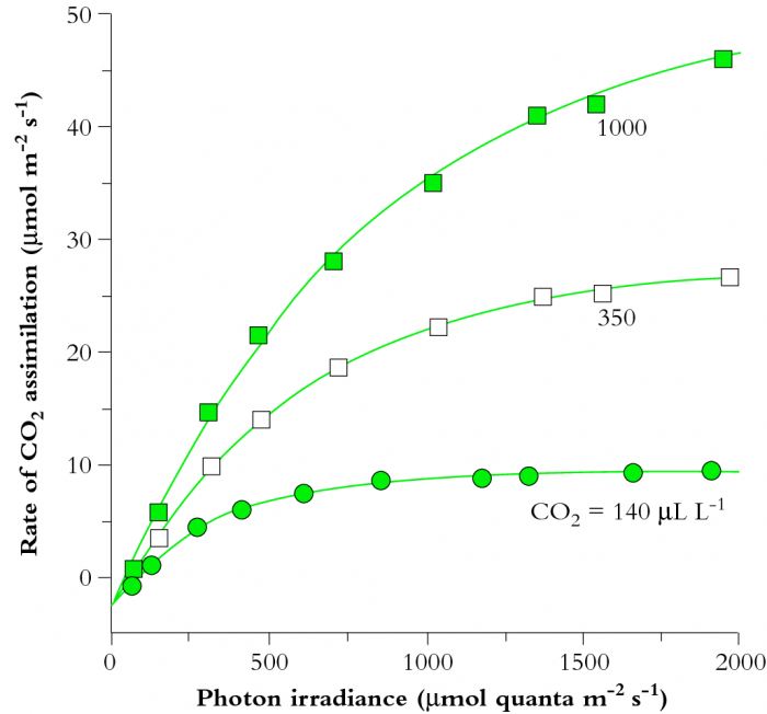 plantsinaction-science.png.83a20bcf6ab96c9f413ea73dab8d7ae7.png