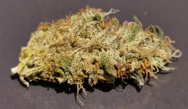 Blue Cheese - Barney's Farm