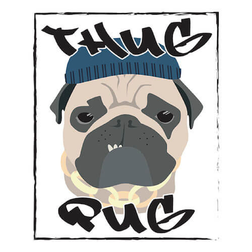 thugpug.jpg.62ccf65aea5be5b5baea7ec972f17b20.jpg